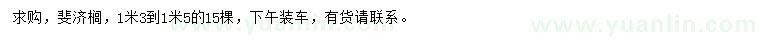 求購1.3-1.5米斐濟櫚