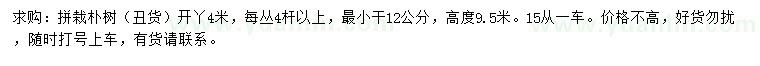 求購(gòu)樸樹