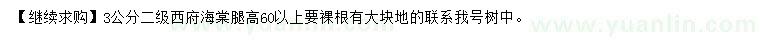 求購3公分西府海棠