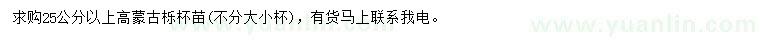 求購高25公分以上蒙古櫟