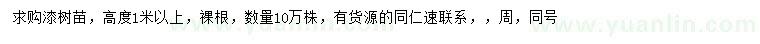 求購高1米以上漆樹