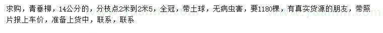 求購14公分青垂柳
