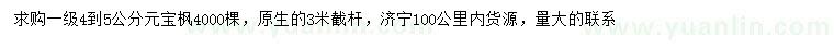 求購4-5公分元寶楓