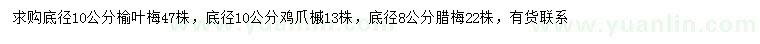 求購(gòu)榆葉梅、雞爪槭、臘梅