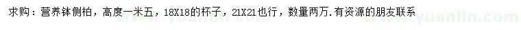 求購高1.5米側(cè)柏