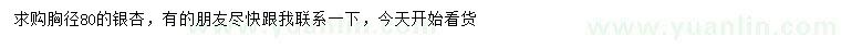求購(gòu)胸徑80公分銀杏