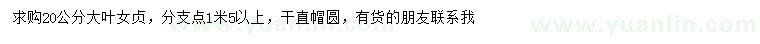 求購20公分大葉女貞