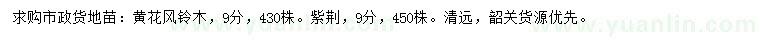 求購9公分黃花風鈴木、紫荊