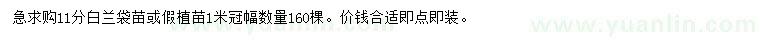 求購11公分白蘭