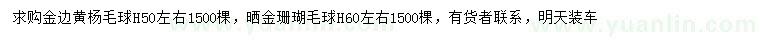 求購(gòu)高50公分左右金邊黃楊毛球、高60公分左右灑金珊瑚毛球