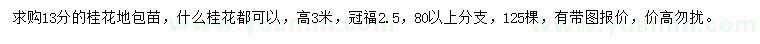 求購13公分桂花