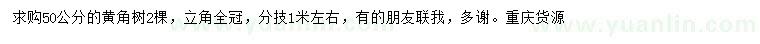 求購(gòu)50公分黃角樹(shù)