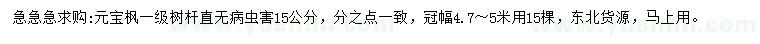 求購15公分元寶楓