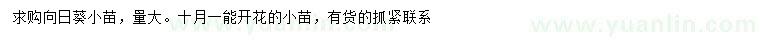 求購向日葵小苗