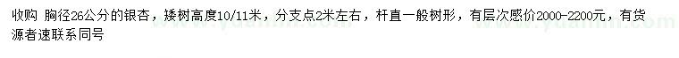 求購胸徑26公分銀杏