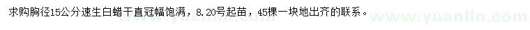 求購胸徑15公分速生白蠟