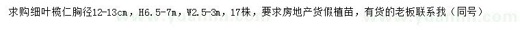 求購胸徑12-13公分細葉欖仁