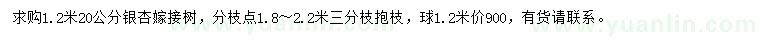 求購1.2米量20公分銀杏