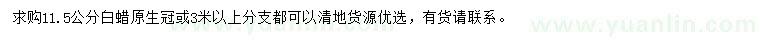 求購11.5公分白蠟
