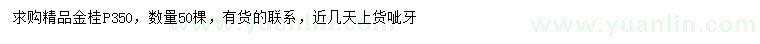 求購冠幅350公分金桂