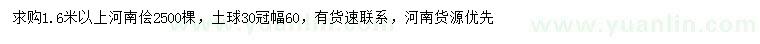 求購1.6米以上河南檜