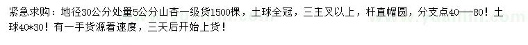 求購30量5公分山杏
