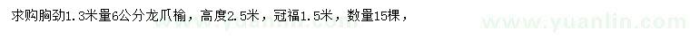 求購胸徑6公分龍爪榆