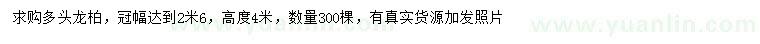 求購冠幅2.6米多頭龍柏
