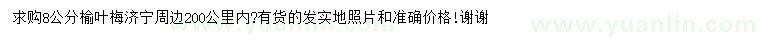 求購8公分榆葉梅