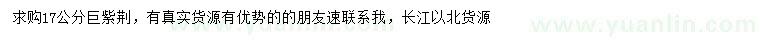 求購17公分巨紫荊