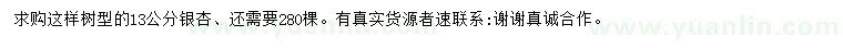 求購13公分銀杏
