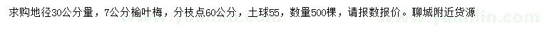 求購(gòu)30量7公分榆葉梅