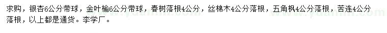 求購銀杏、金葉榆、椿樹等