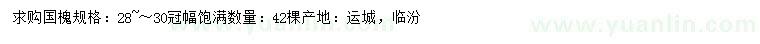 求購28-30公分國(guó)槐