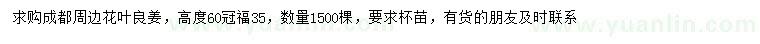 求購(gòu)高60公分花葉良姜