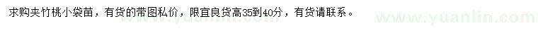 求購高35-40公分夾竹桃