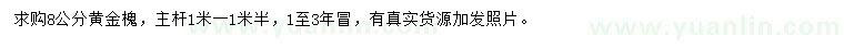 求購(gòu)8公分黃金槐