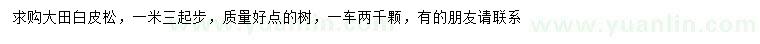 求購1.3米起步白皮松