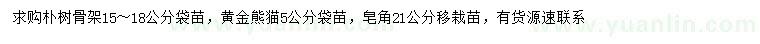 求購(gòu)樸樹、黃金熊貓、皂角