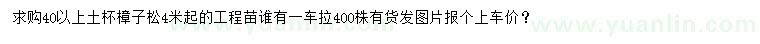 求購4米起樟子松