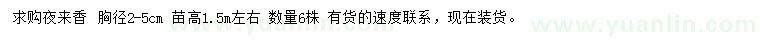 求購胸徑2-5公分夜來香