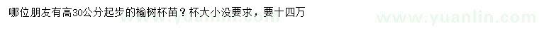 求購高30公分起步榆樹