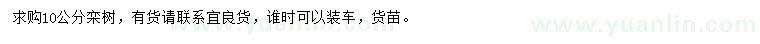 求購10公分欒樹