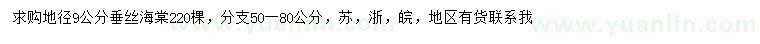 求購地徑9公分垂絲海棠