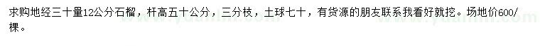 求購30量12公分石榴