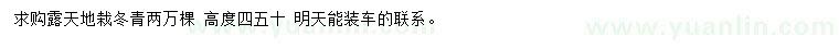 求購高40-50公分冬青