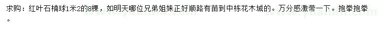 求購1.2米紅葉石楠球