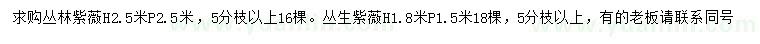 求購(gòu)高1.8、2.5米叢生紫薇