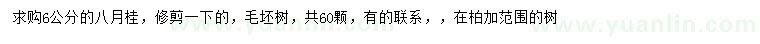 求購6公分八月桂