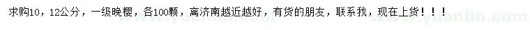 求購10、12公分晚櫻